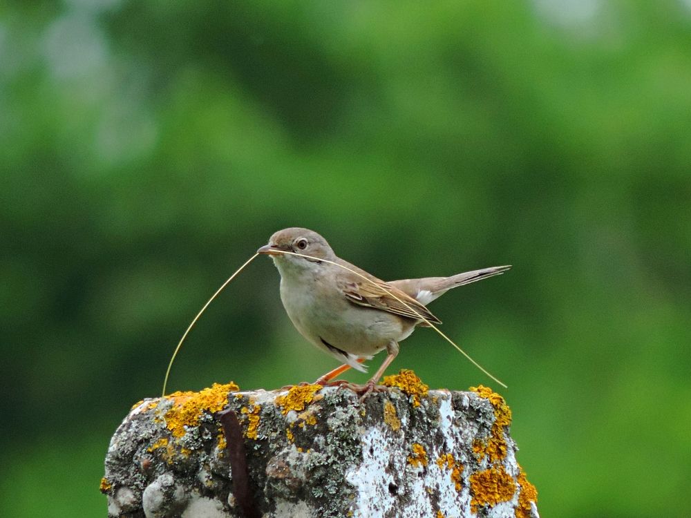 Photograph by Мария Широких