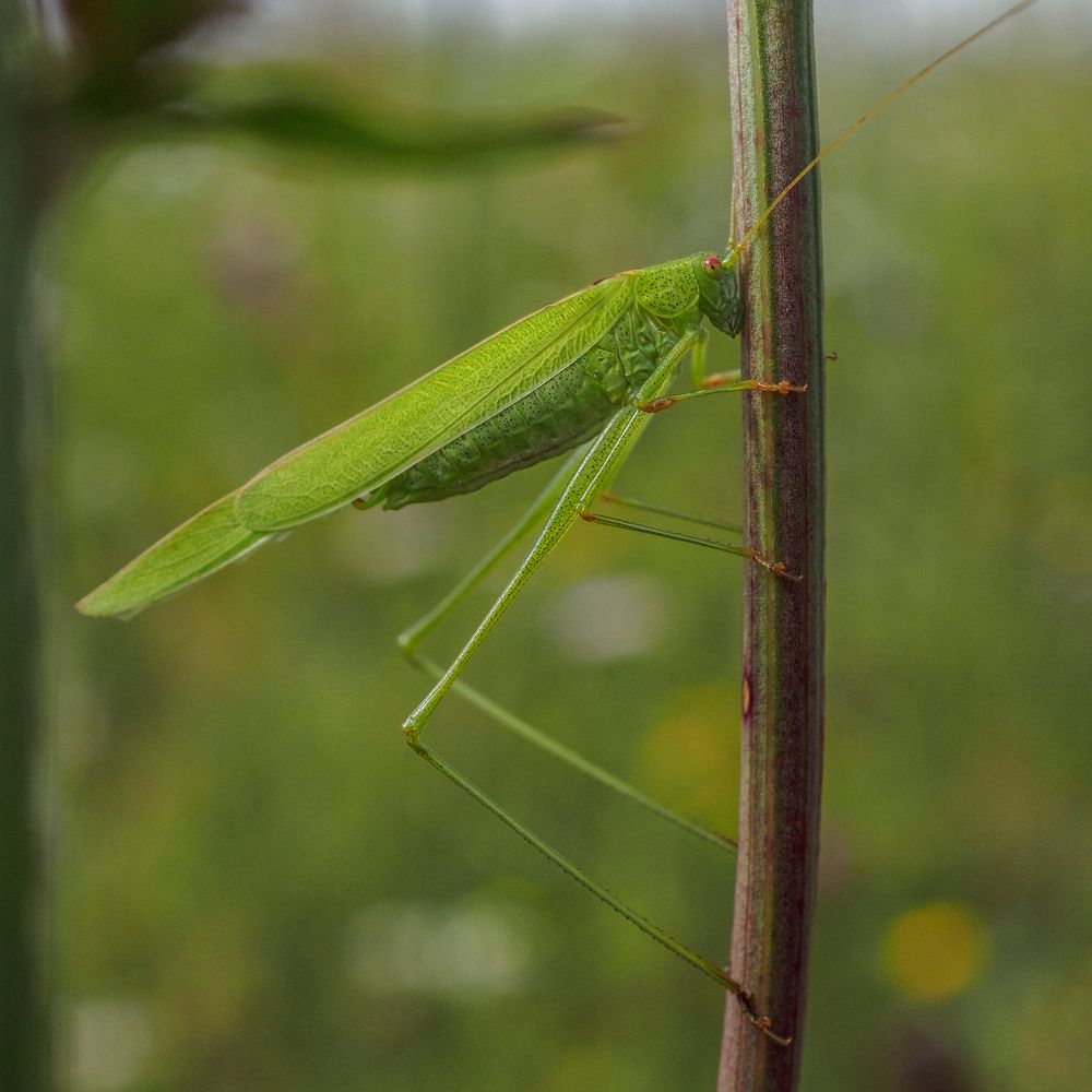 Photograph by Азат Кадиров