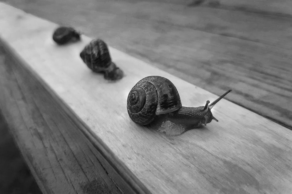 Фотография автора Кристина Догодька