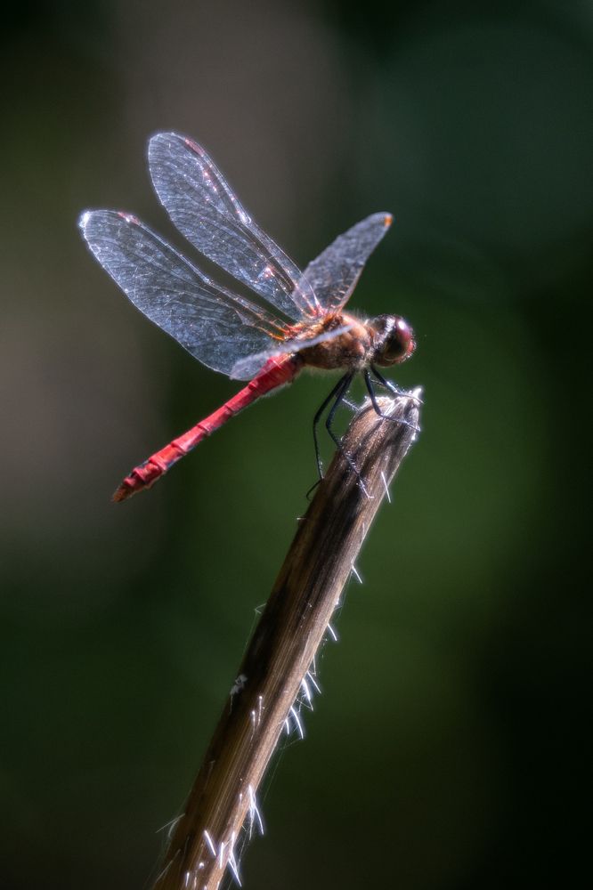 Photograph by Евгения Тимофеева