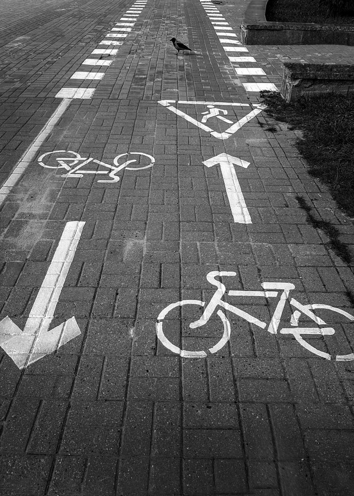 Фотография автора Кристина Догодька