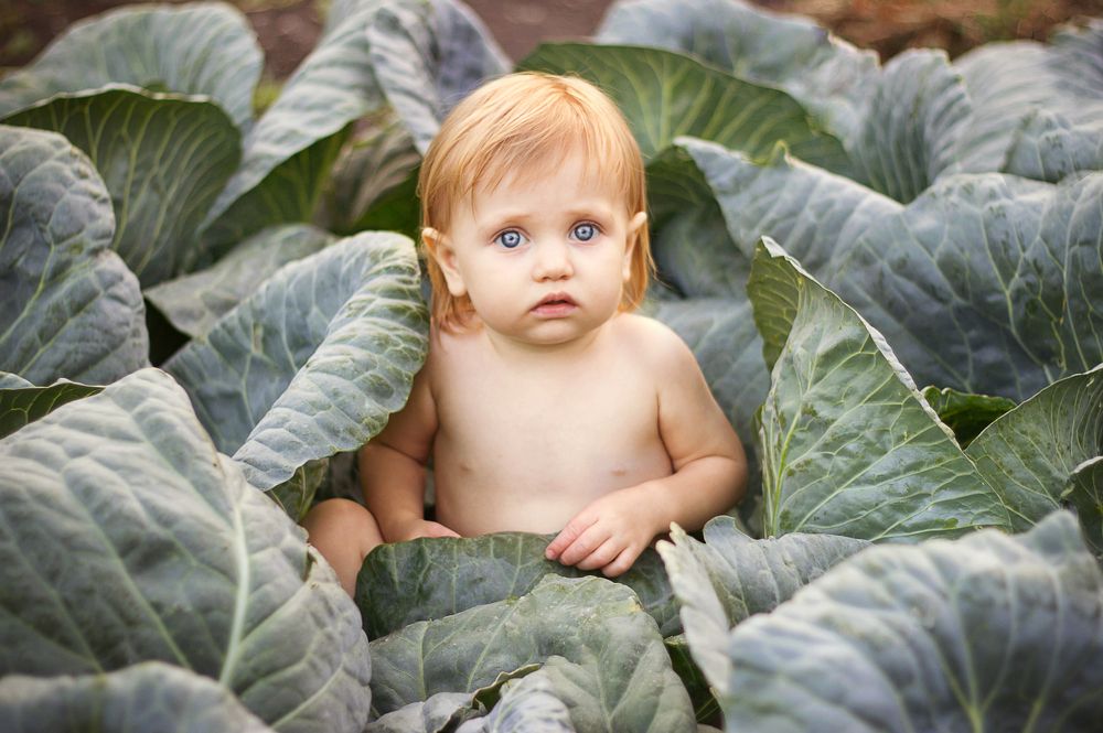 Photograph by Юния Пантелеева