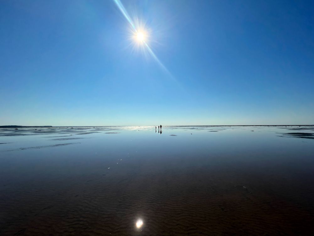 Photograph by Алина Шорина