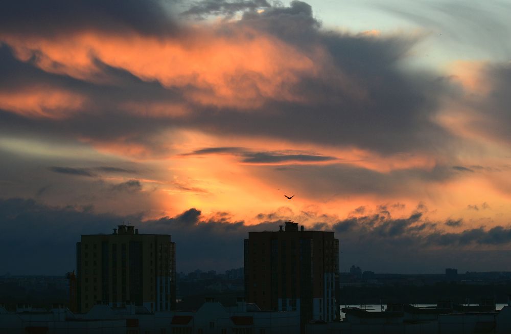 Фотография автора Антип