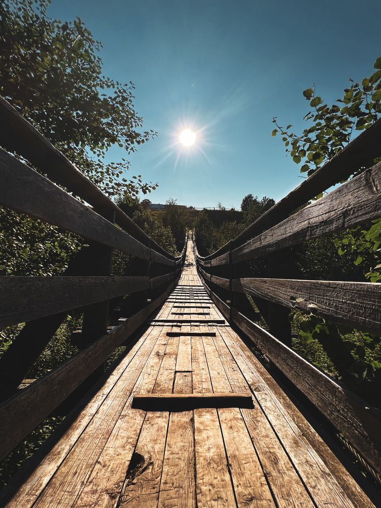 Photograph by Алина Шорина