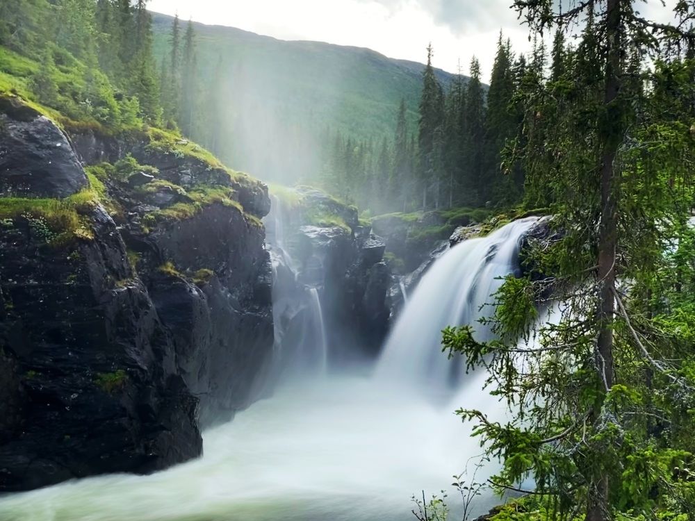 Photograph by Юлия Зырина