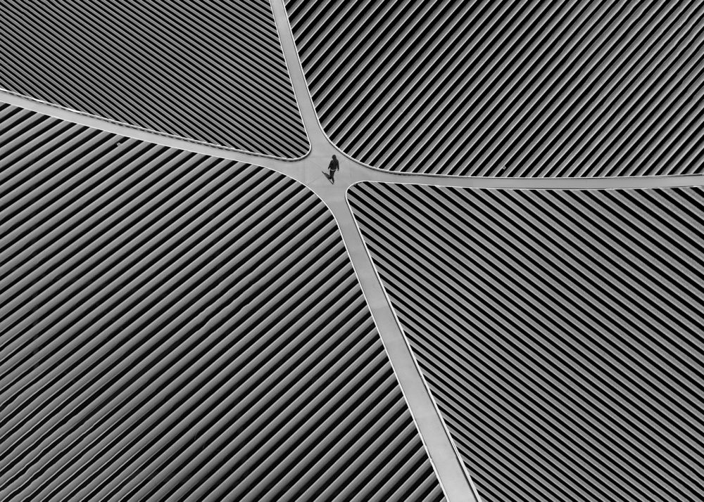 Photograph by Ali Zolghadri