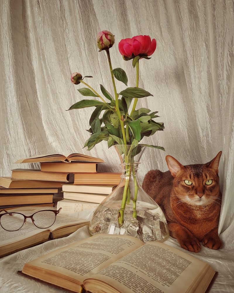 Фотография автора Татьяна Егорова