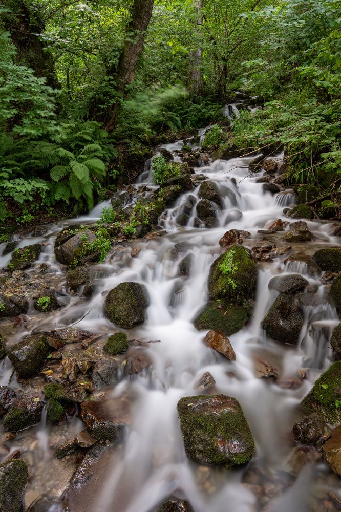 Photograph by Владимир Запорожченко