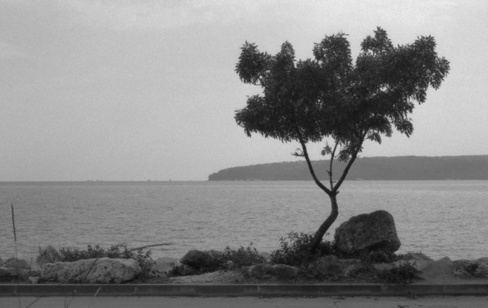 Photograph by Evgeny Ivanov