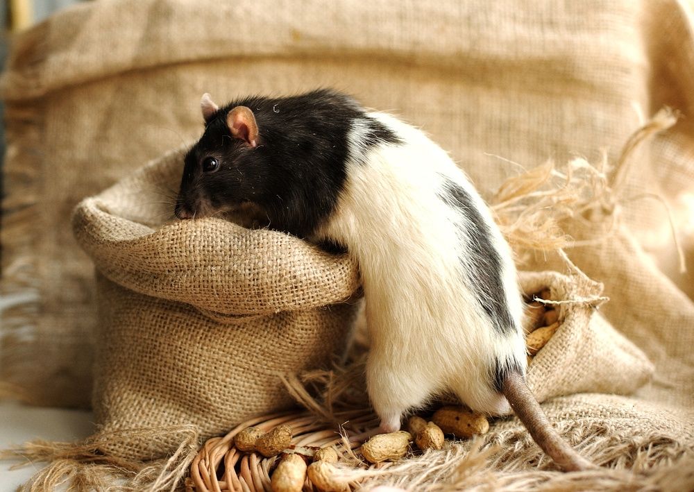 Photograph by Щинова Юлия