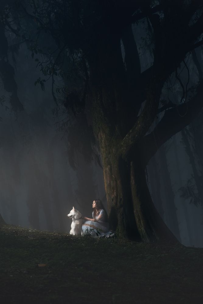 Franhja en el bosque