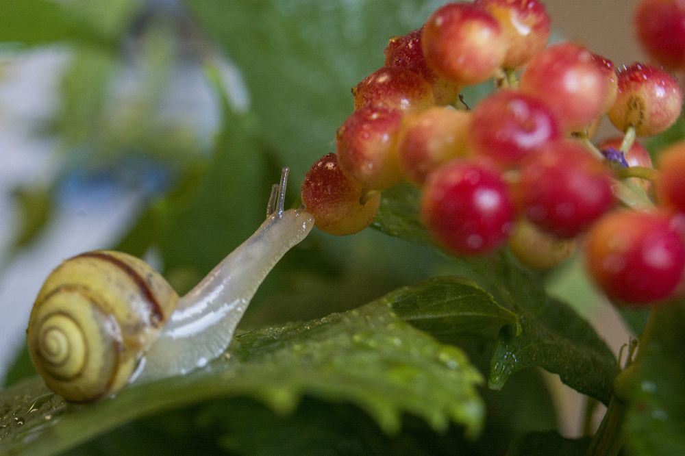 Photograph by Татьяна Титова