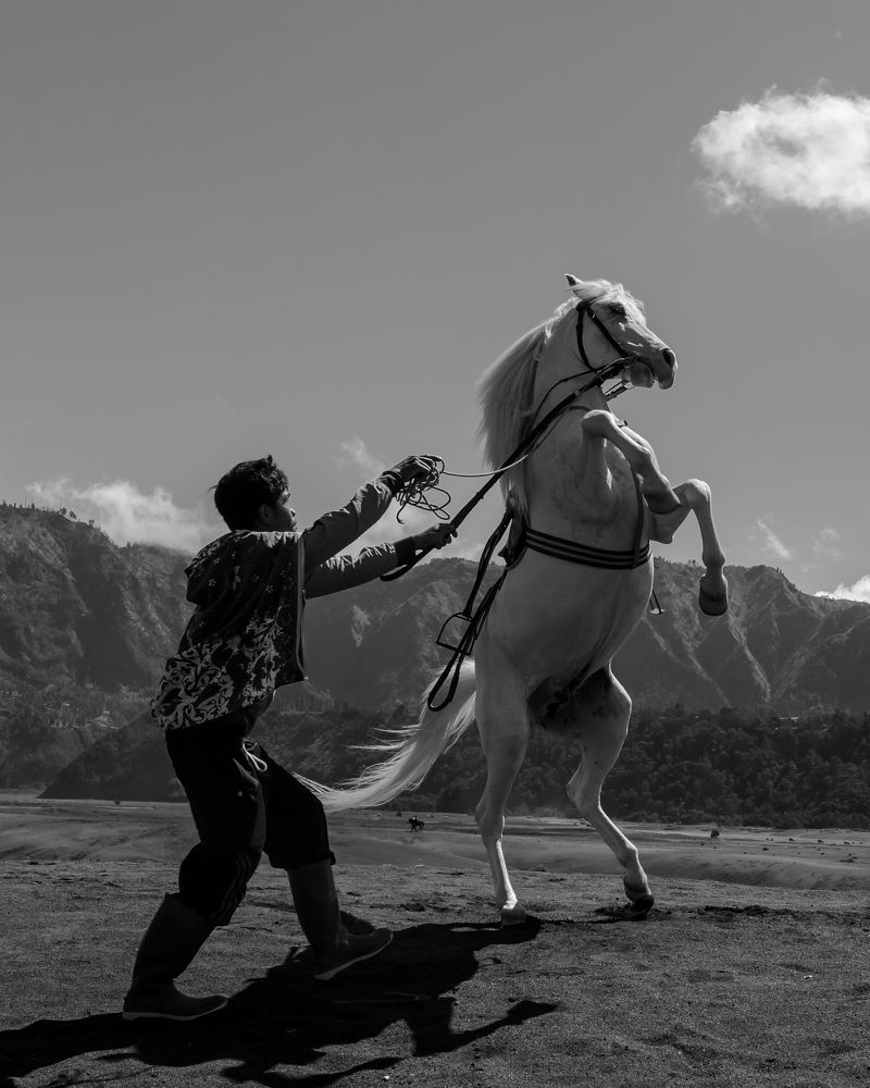 Photograph by Budi Yuwono