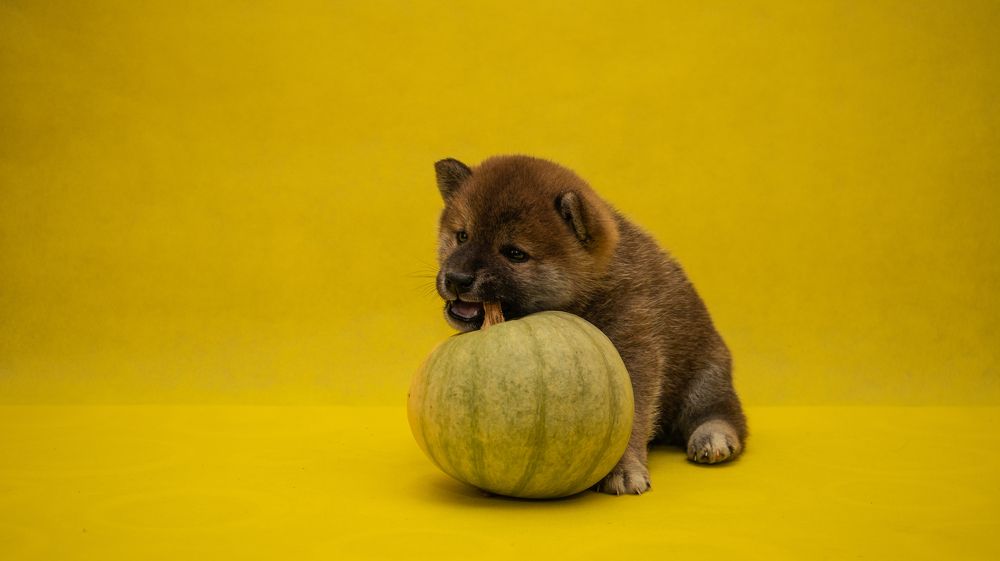 Попробую на вкус