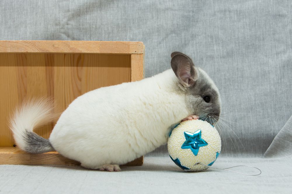 Катимся к Новому году