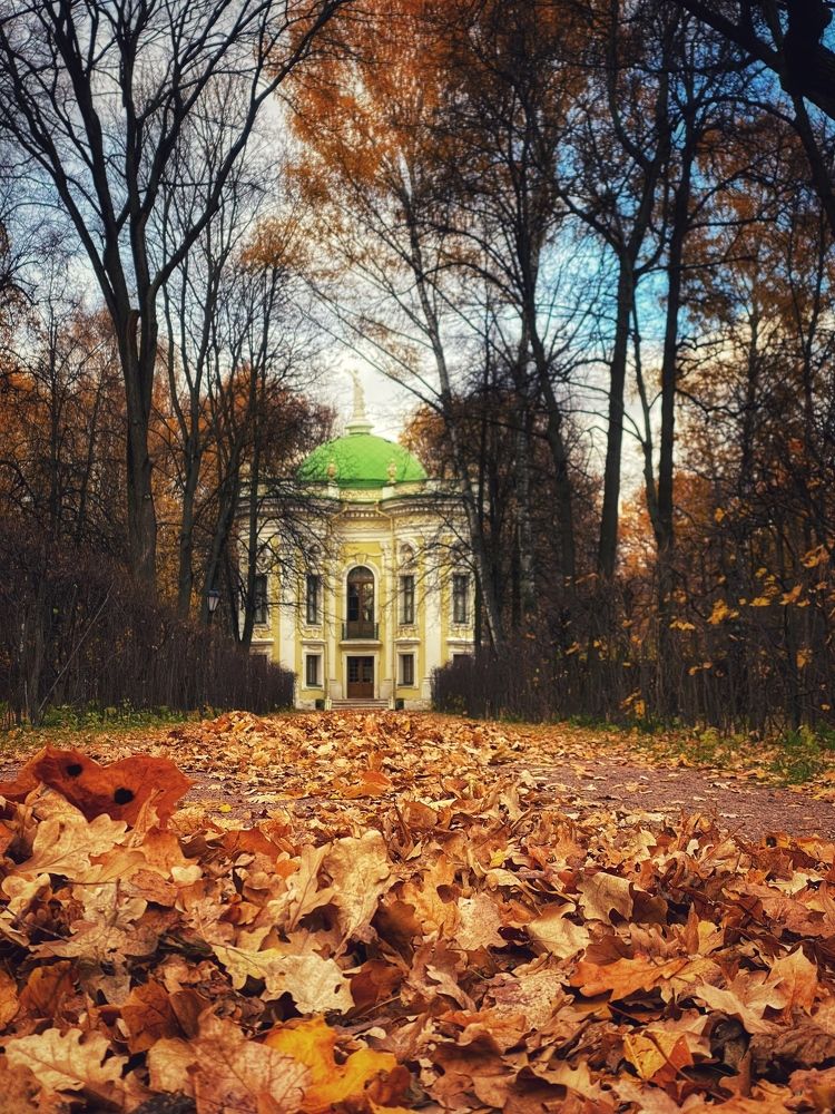 Photograph by Яна Лугинина