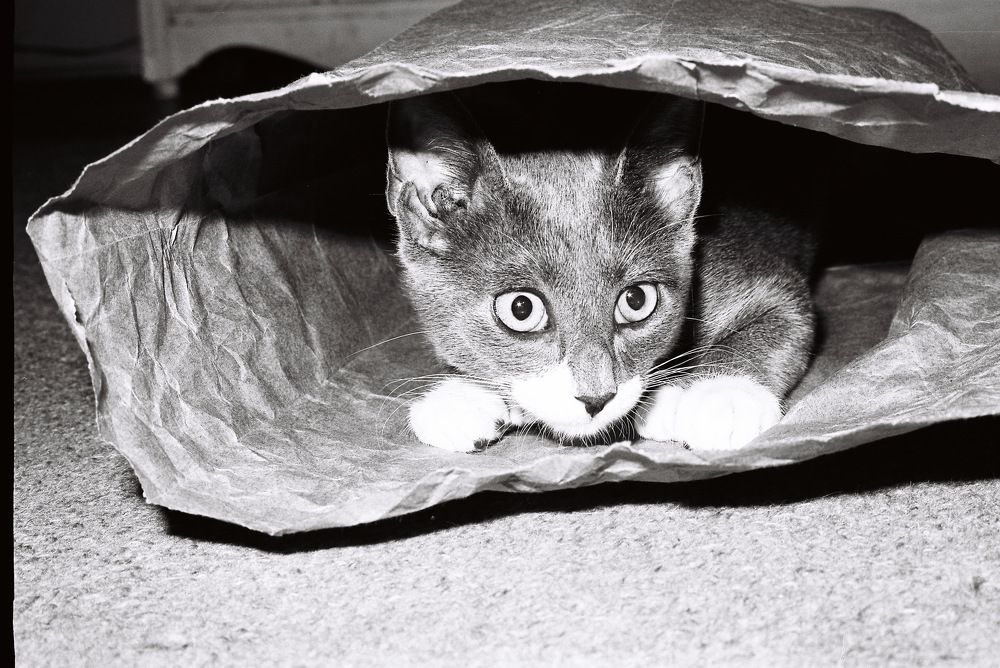 Photograph by Paul Bowers