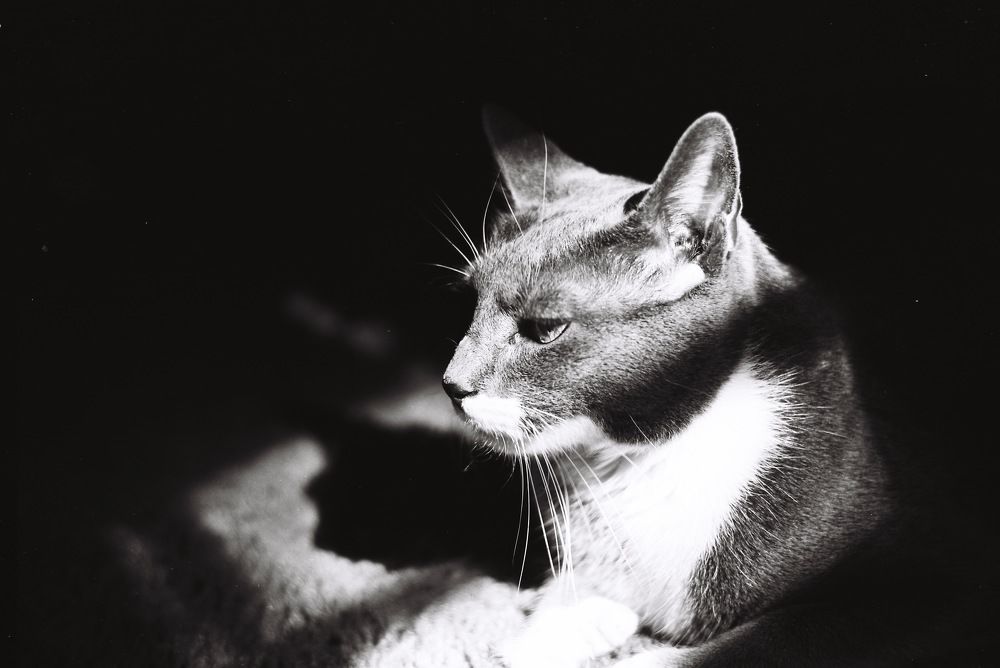 Photograph by Paul Bowers