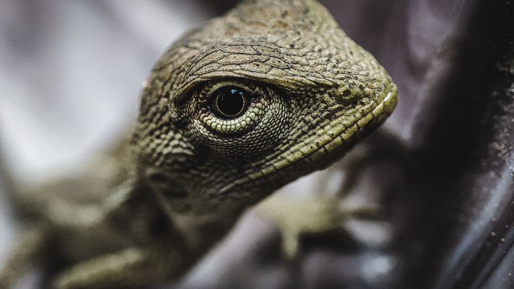 Photograph by Bibekanand Rana