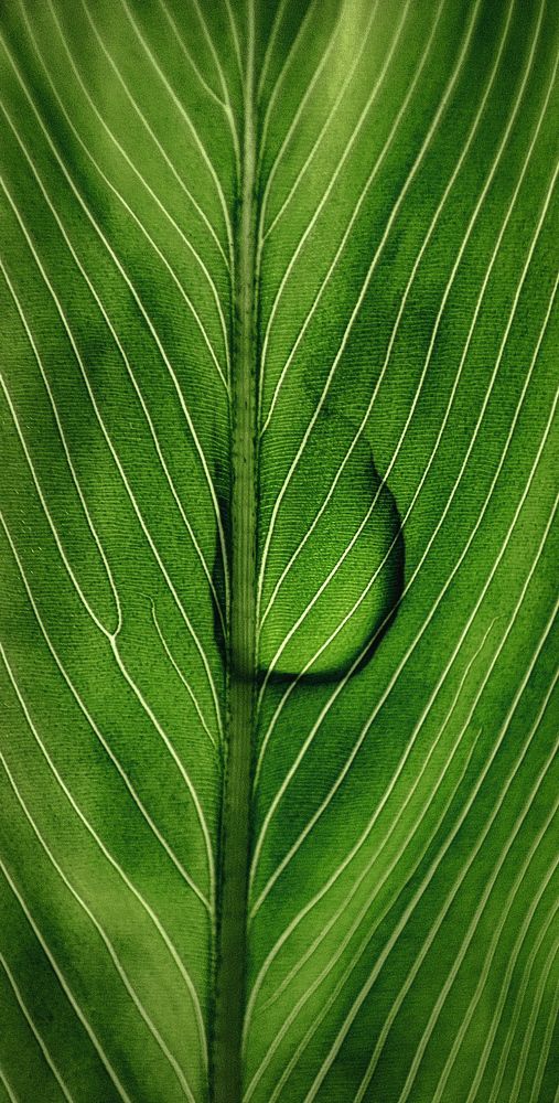 Photograph by Bibekanand Rana