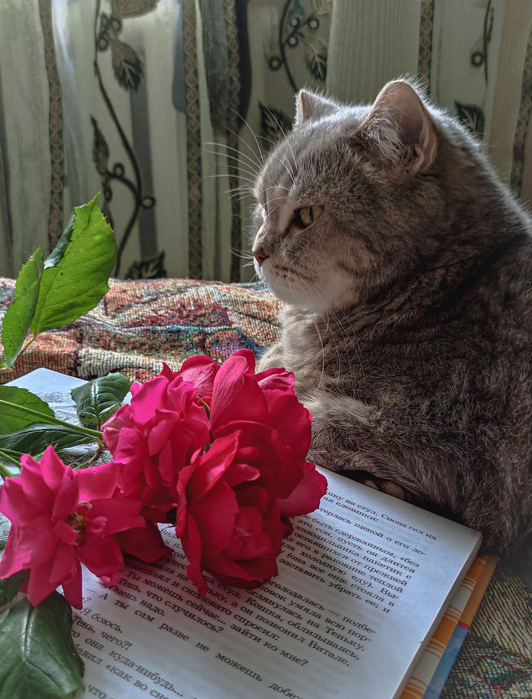 Photograph by Владимир Вялков