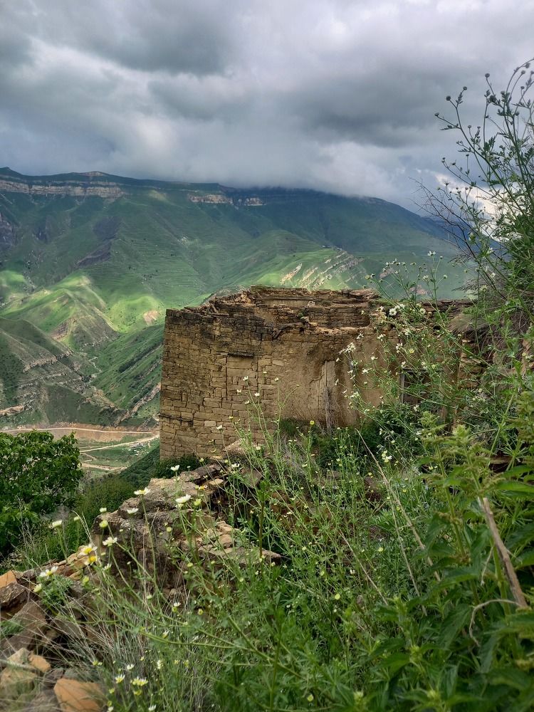 Photograph by Viktoria Vavilkina