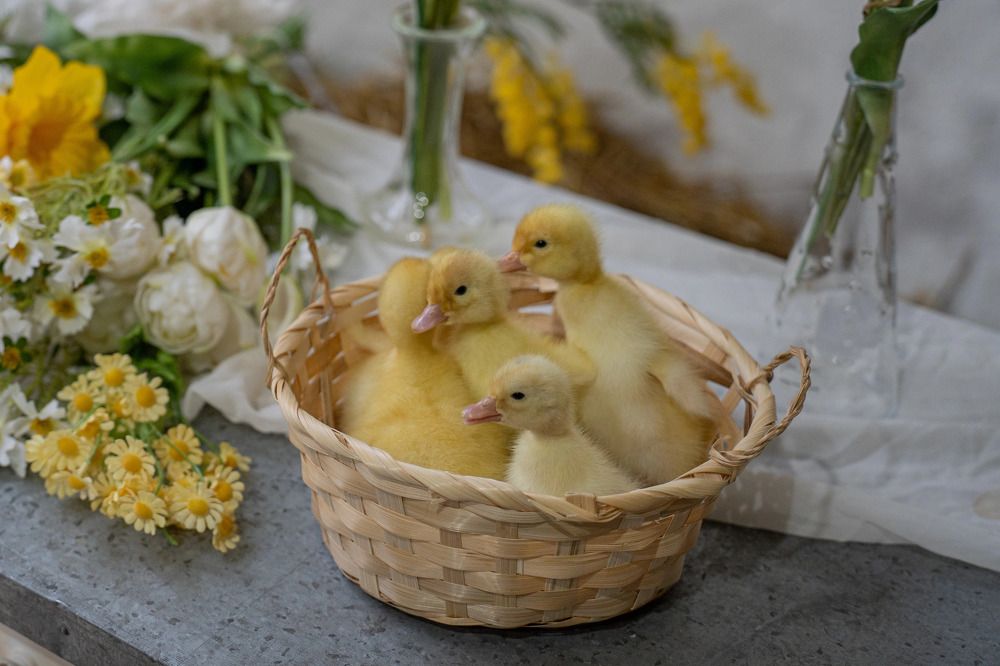 Photograph by Олеся Владимирова