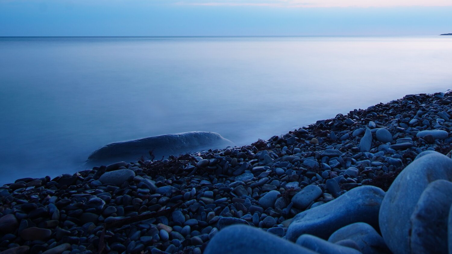 Photo #9397234