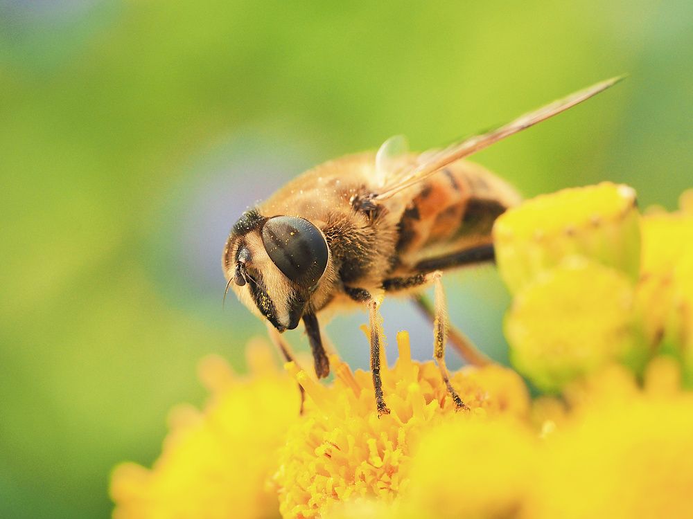 Photograph by Ирина Протченко