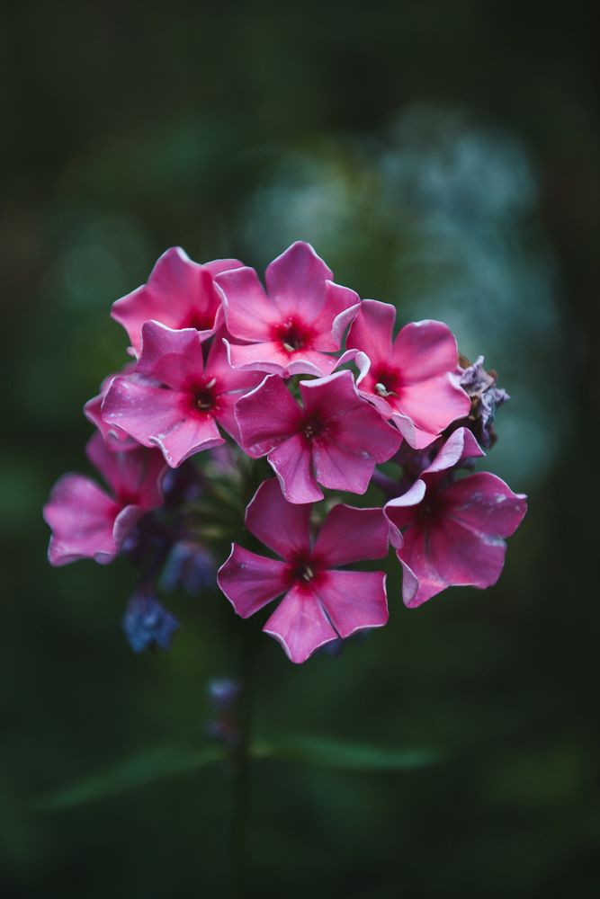 Photograph by Алиса Никитина