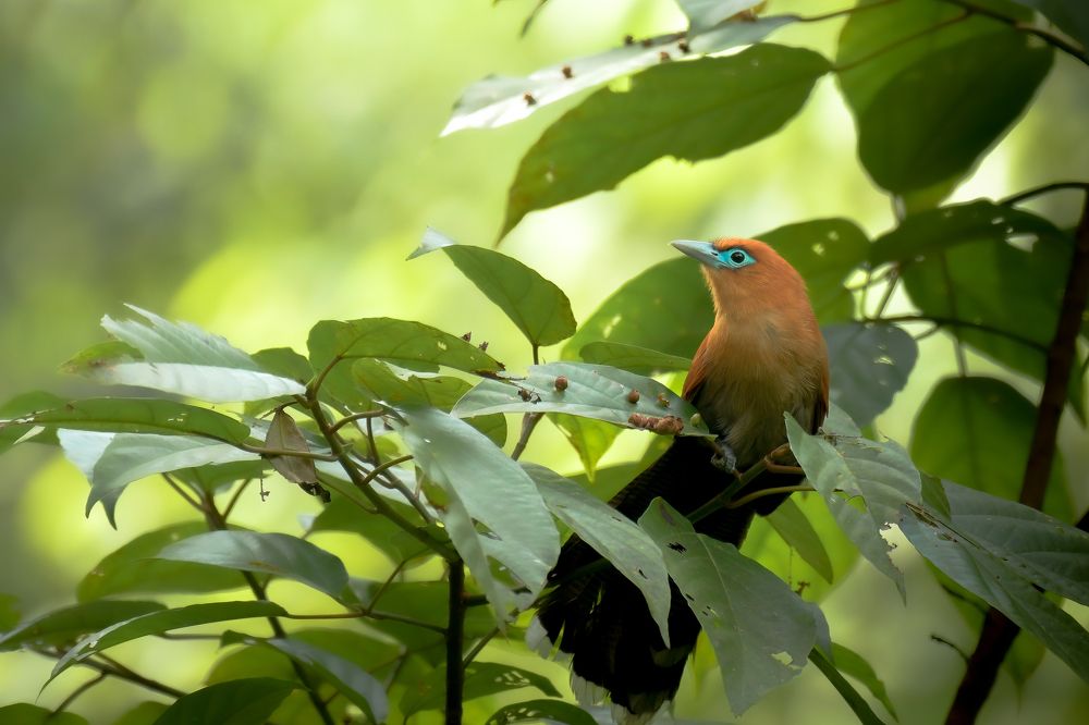 Photograph by Livines Annamalai