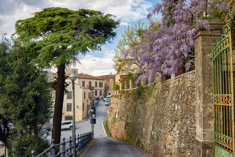 Photograph by Валерий