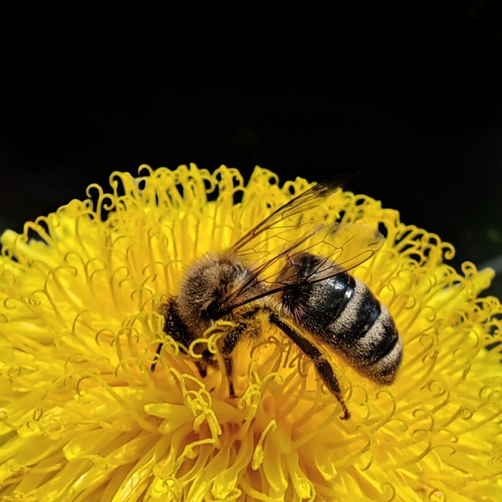 Photograph by Юрий Полушин