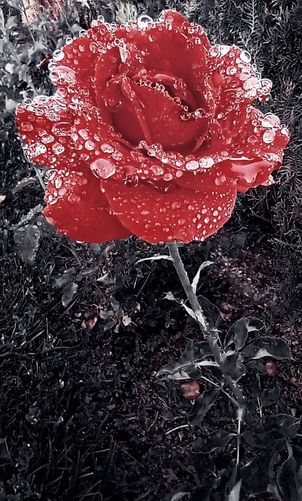 Фотография автора Аида Сидикходжаева