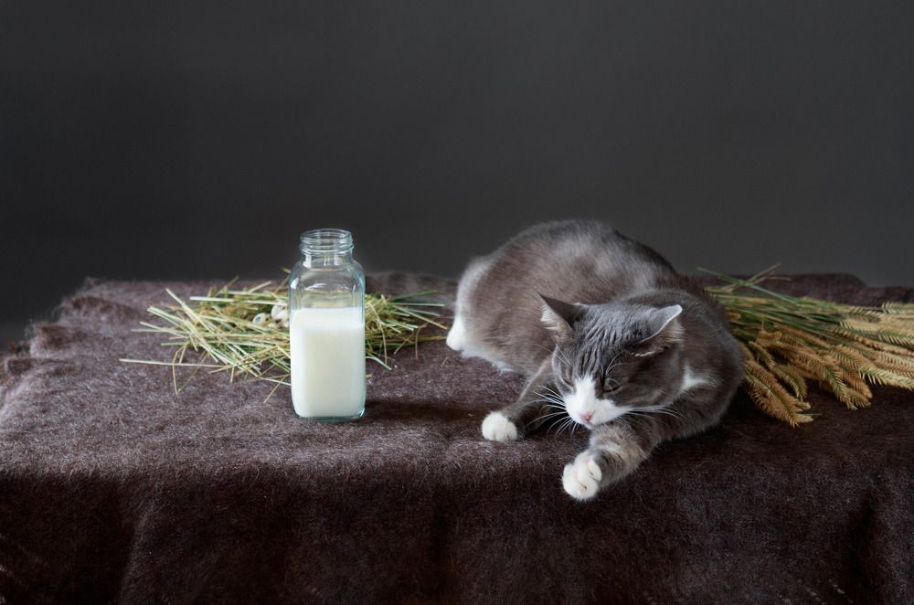 Photograph by Егорова Оксана