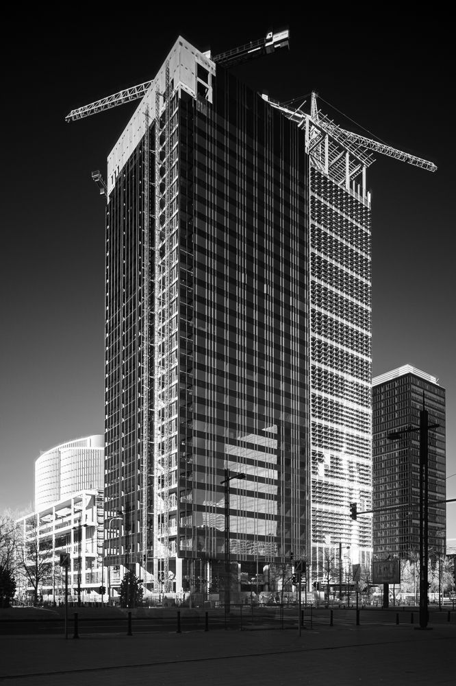 Photograph by Dieter Demey