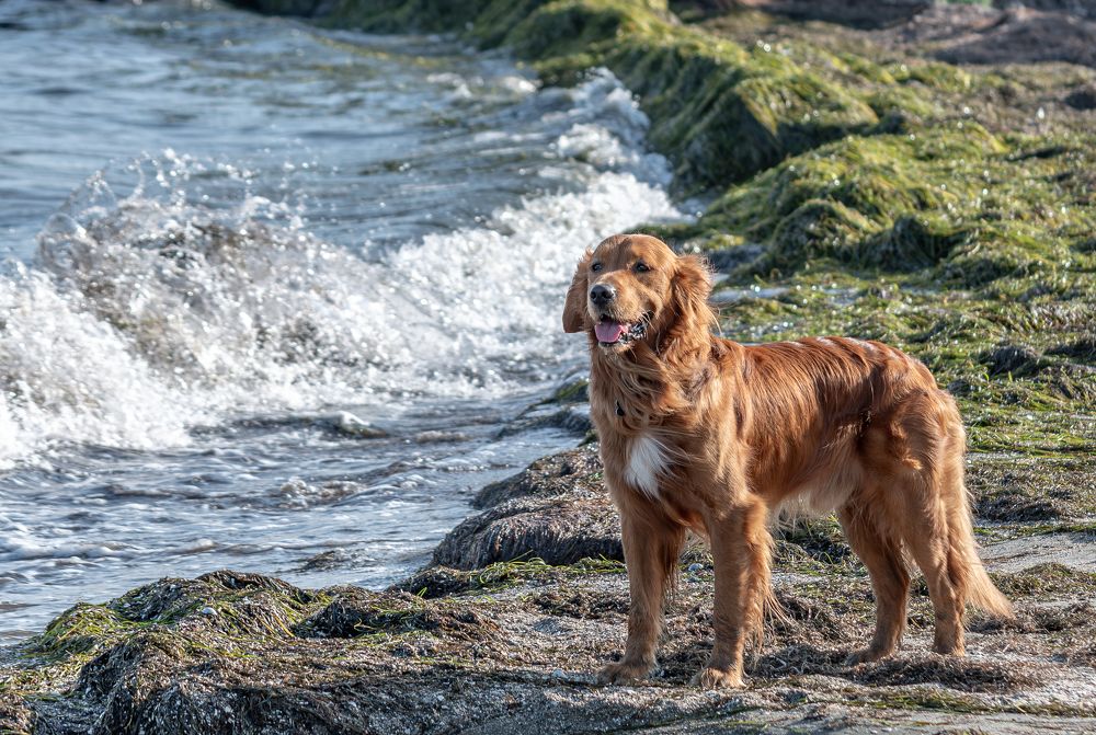 Photograph by Александр Ляндрес