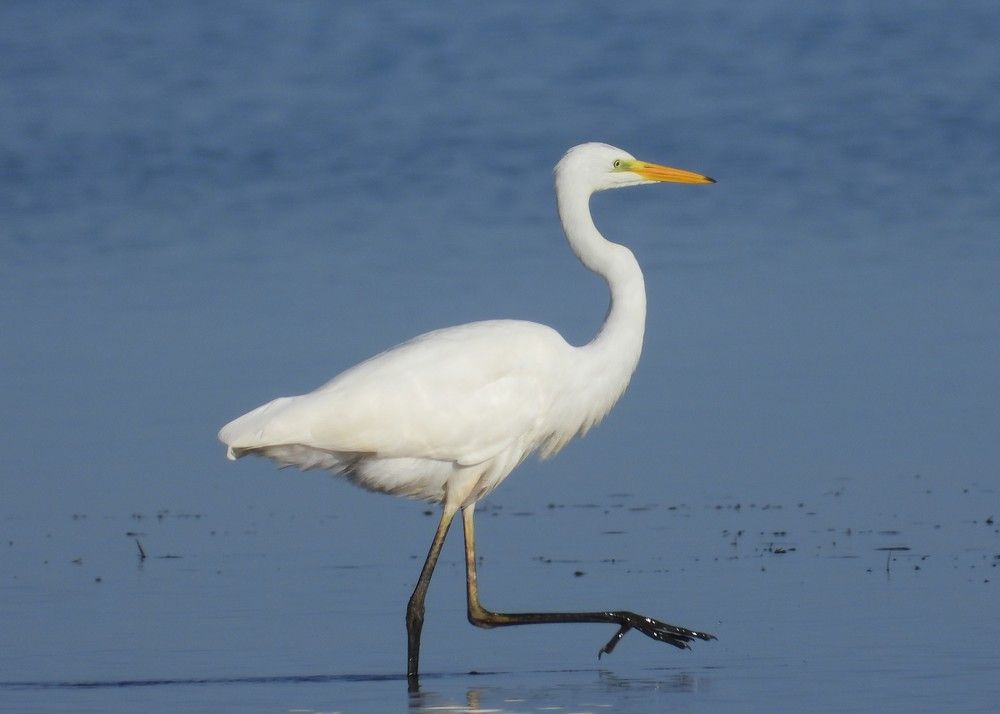 Photograph by Владимир Джерихов