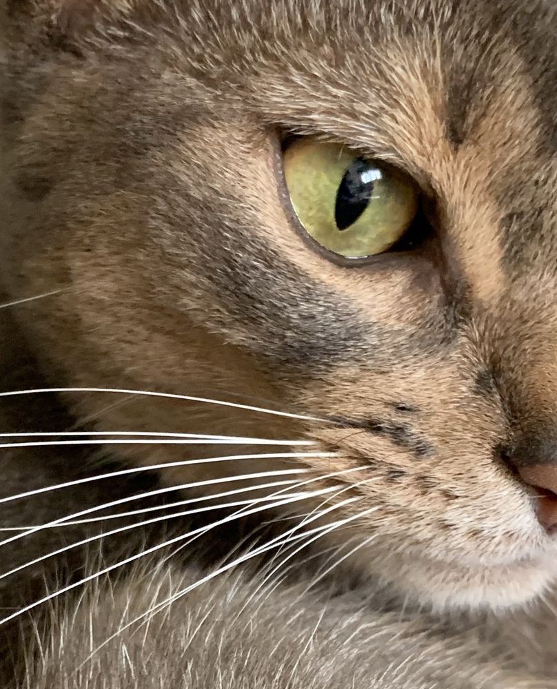 Photograph by Katerina