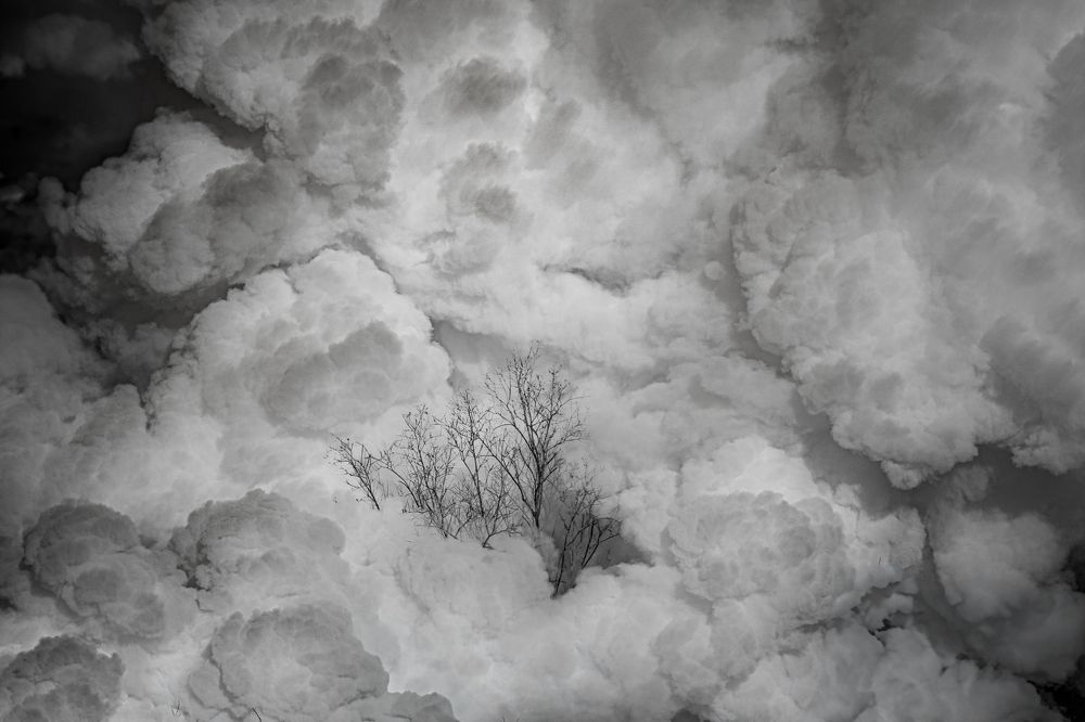 Фотография автора Ляшеев Дмитрий