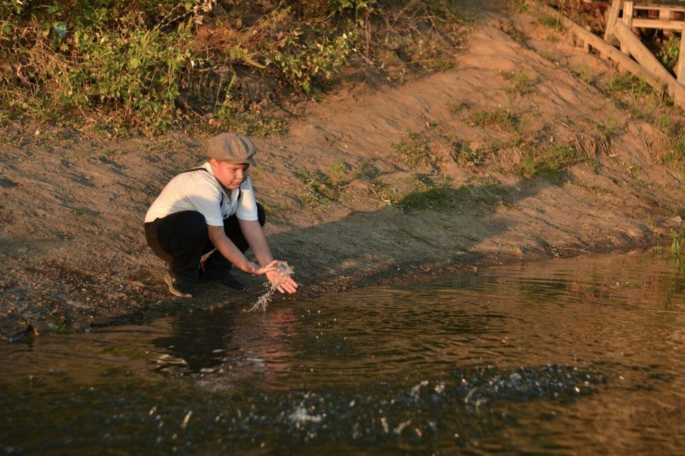 Photograph by Наталья Литовкина