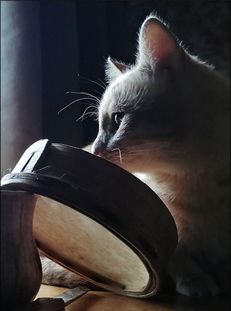 Великий помогатель