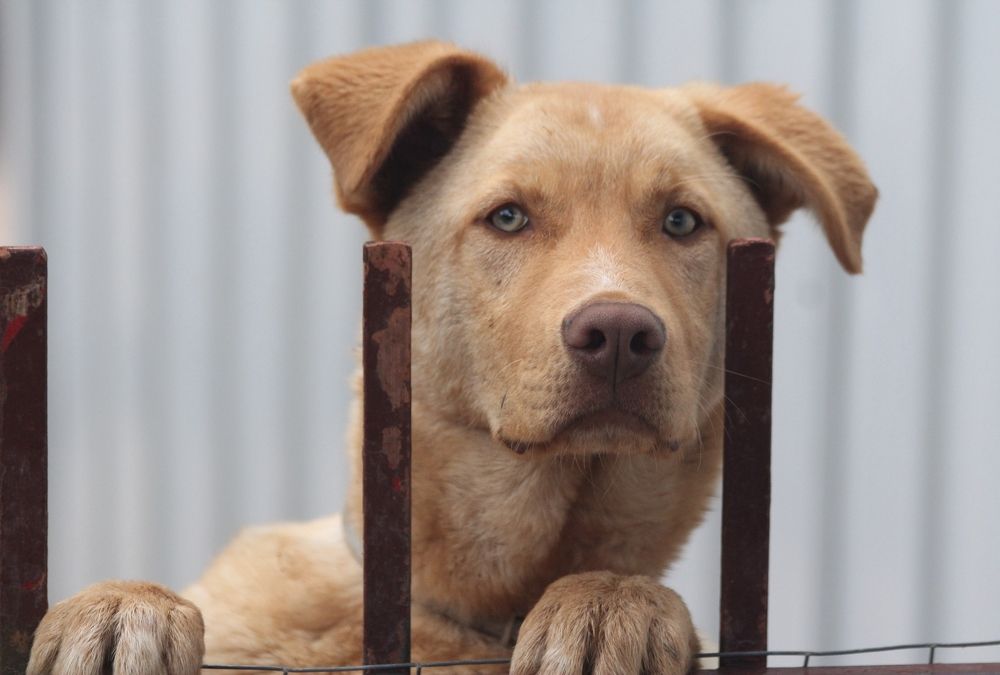 Photograph by Nadzeya