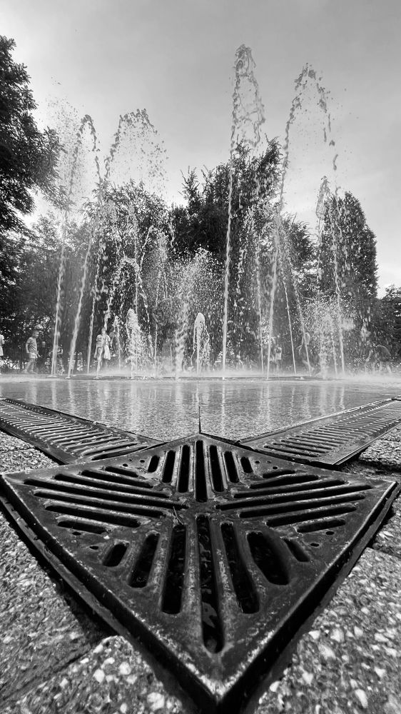 Фотография автора Анна Роганова