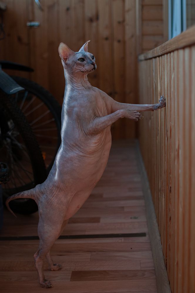 Photograph by Олеся Лагутина