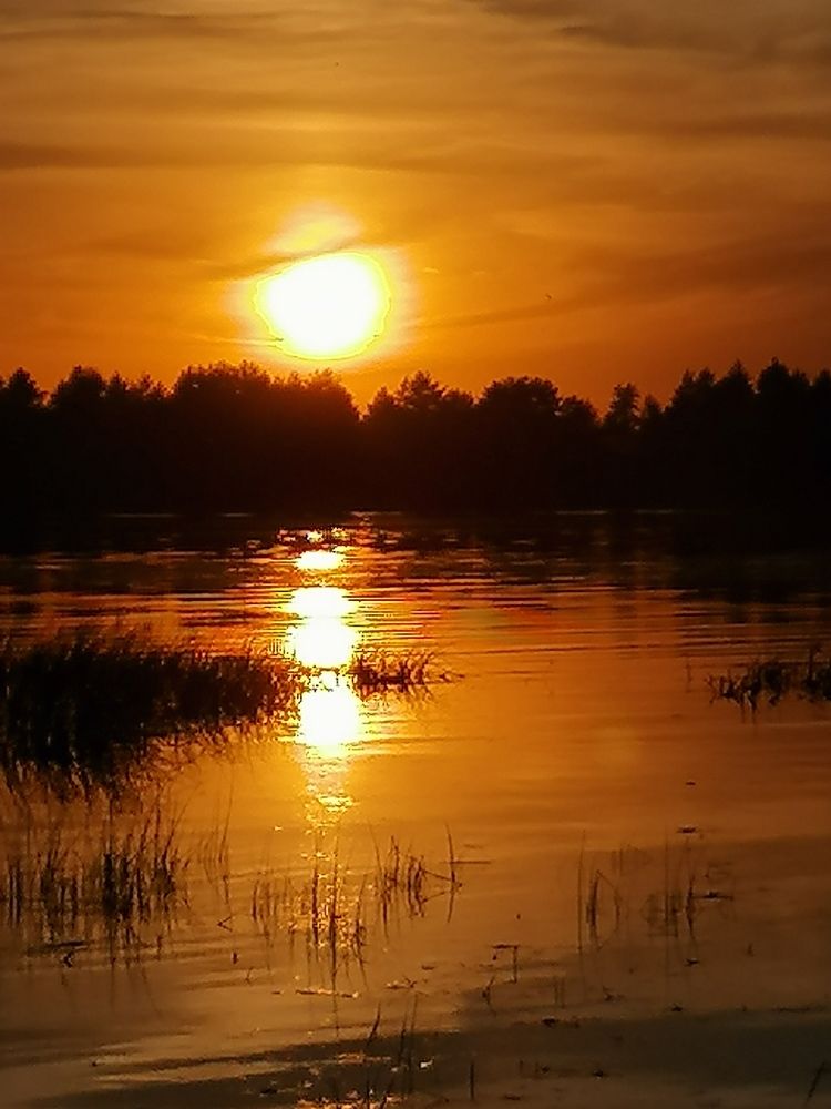 Photograph by Сергей