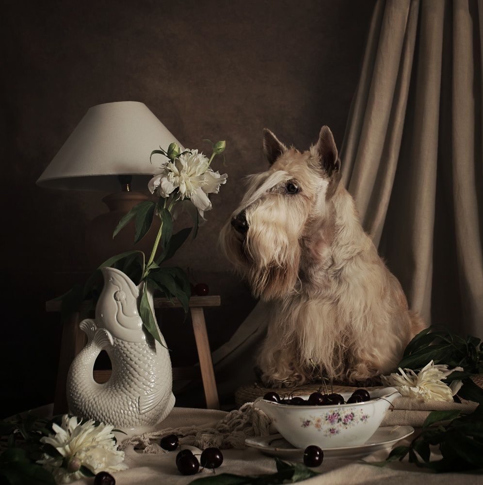 Photograph by Natalya Rembeza