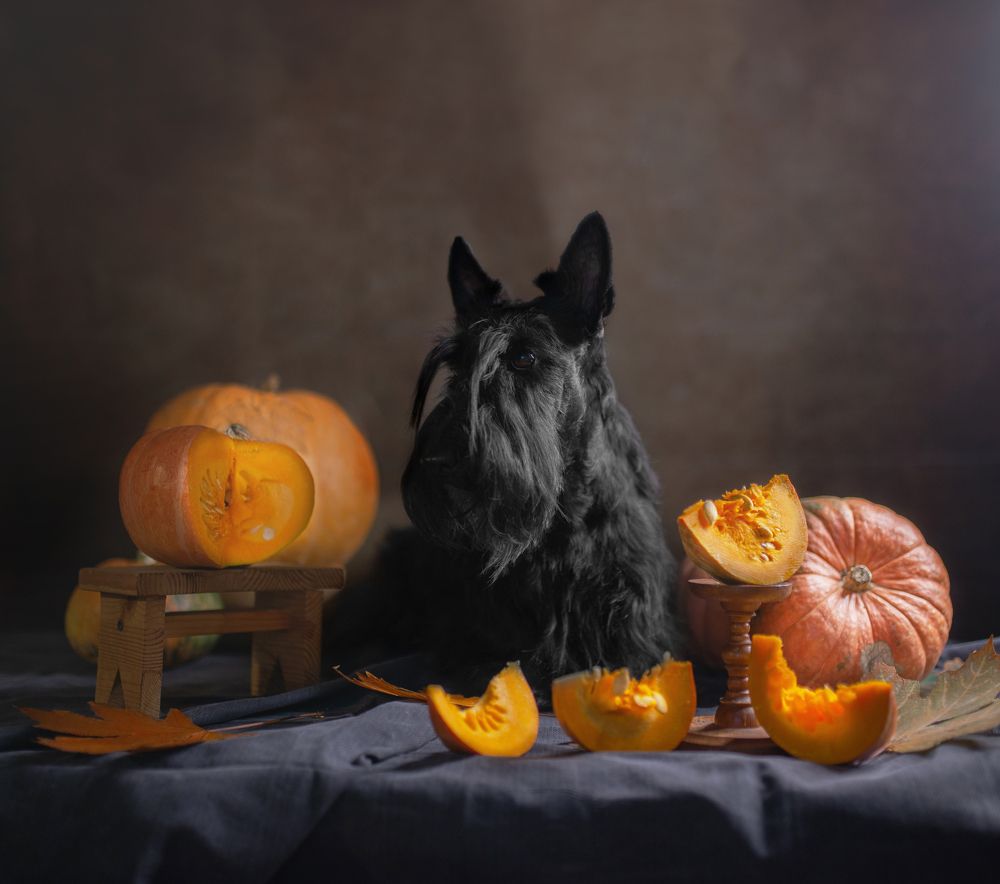 Photograph by Natalya Rembeza