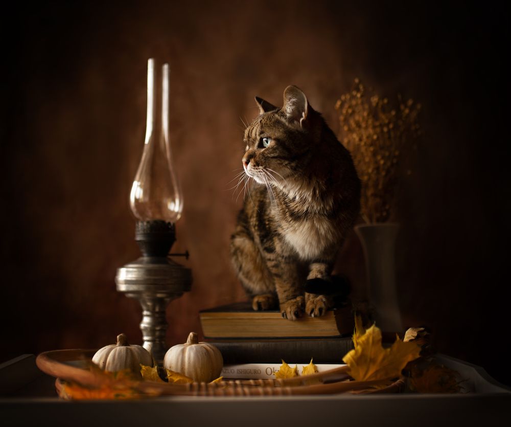 Photograph by Natalya Rembeza